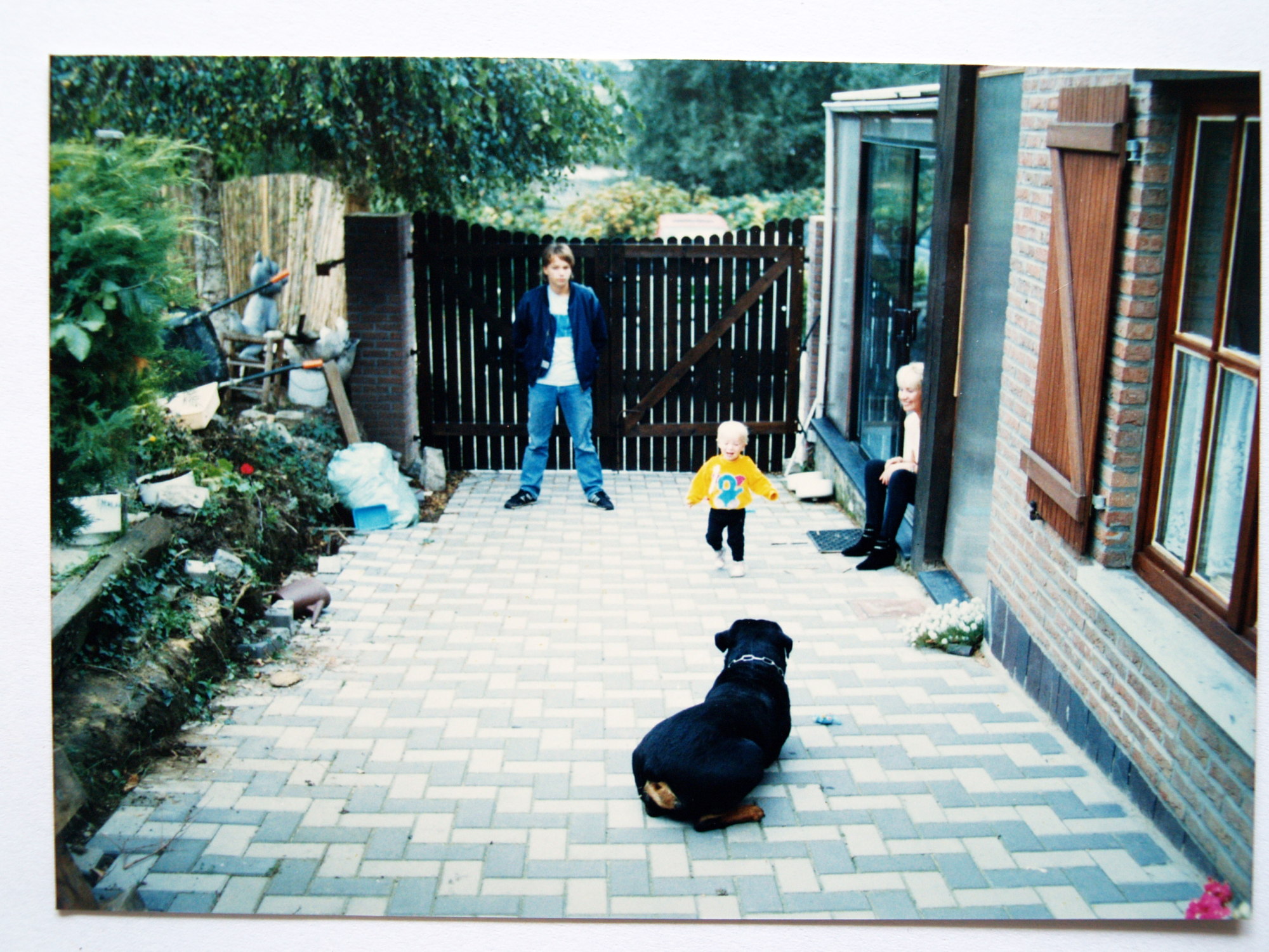 OLYMPUS DIGITAL CAMERA