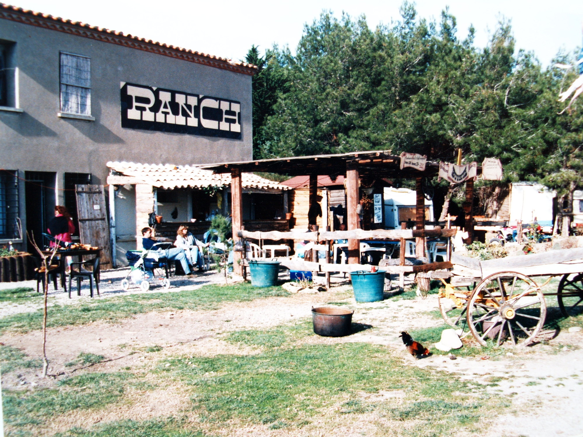 OLYMPUS DIGITAL CAMERA